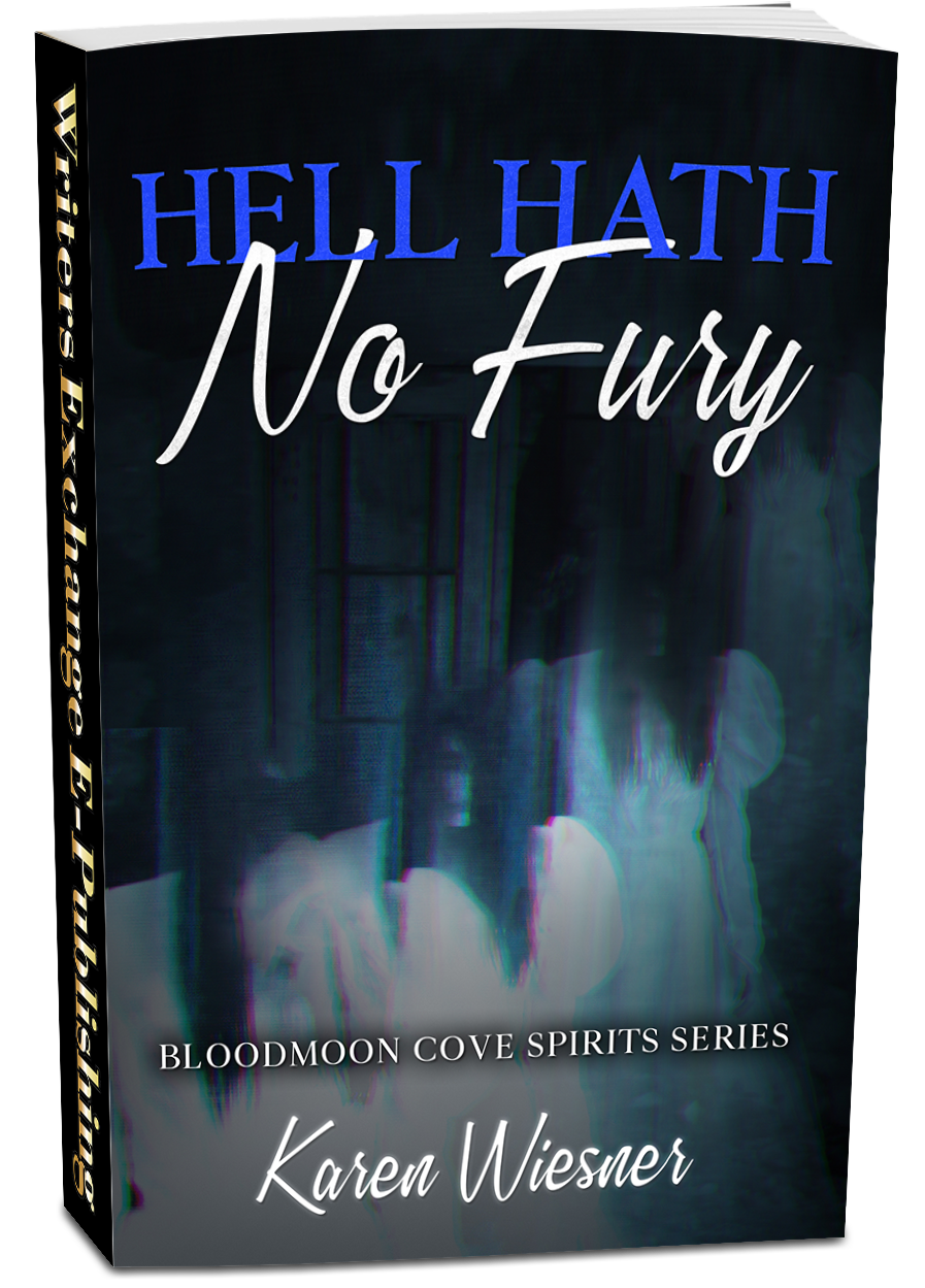 Bloodmoon Cove Spirits Series: Hell Hath No Fury 3d cover 2024 no book numbers